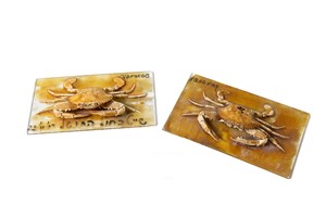 Image description is not available for 2016.3.1